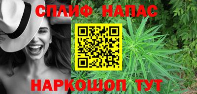 индика Малгобек