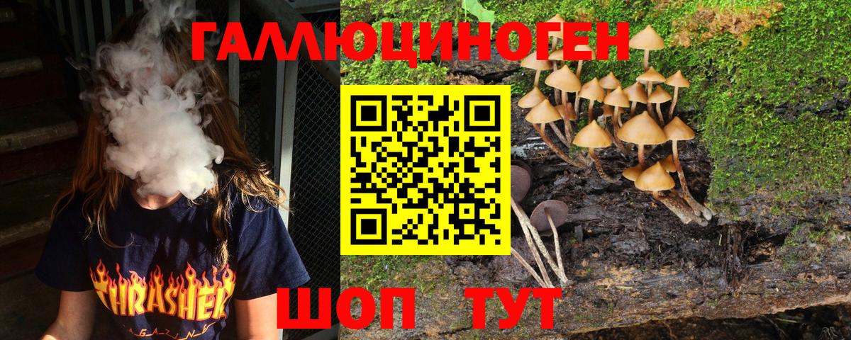 Гурьевск  Псилоцибиновые грибы Cubensis  Вход с VPN  Псилоцибиновые грибы мицелий 